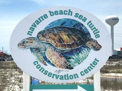 Pensacola Beach Home 936822