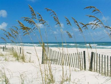 Pensacola Beach Home 936822