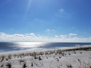 Pensacola Beach Home 936837