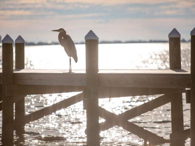 Pensacola Beach Home 936837
