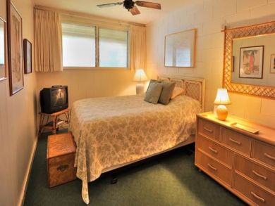 One Bedroom Condo Across Street from Honokowai Beach Park