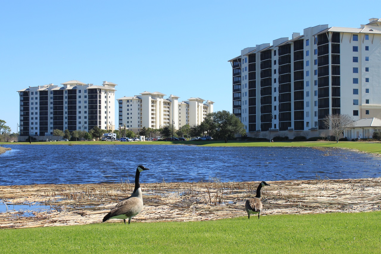 Pensacola Beach Condo 936918