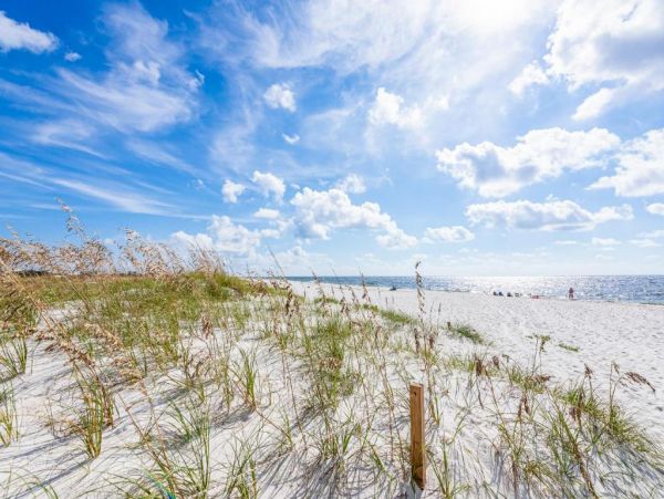 Perdido Key Vacation Condo Five Bedroom Walk to Beach