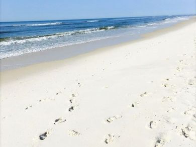 Pensacola Beach Condo 937034