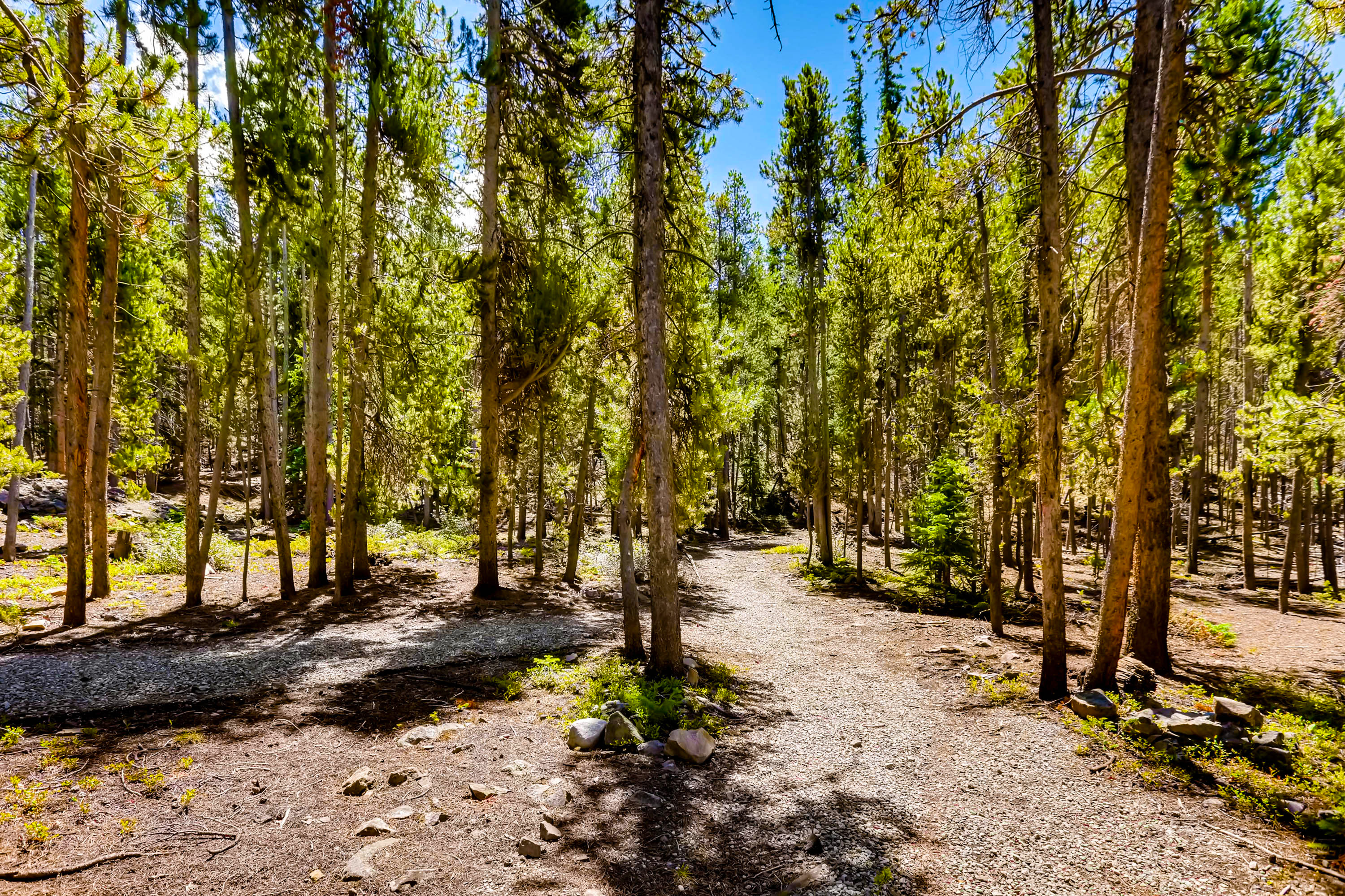Breckenridge Home 937139