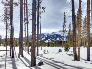 Breckenridge Home 937154