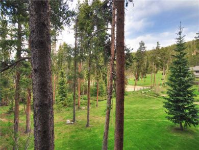 Breckenridge Home 937194