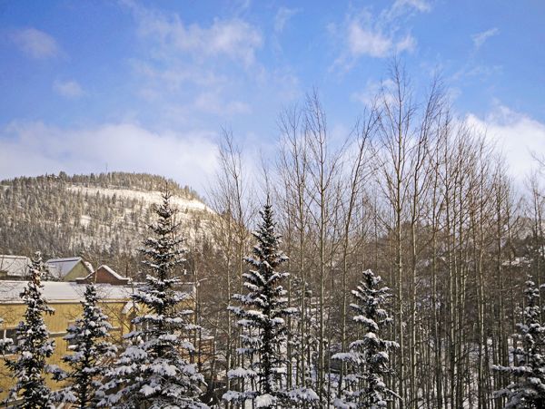 Spacious Three Bedroom Condo on Two Levels!