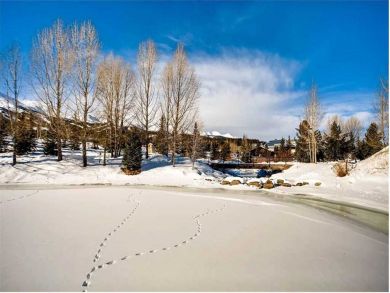 Breckenridge Home 937241