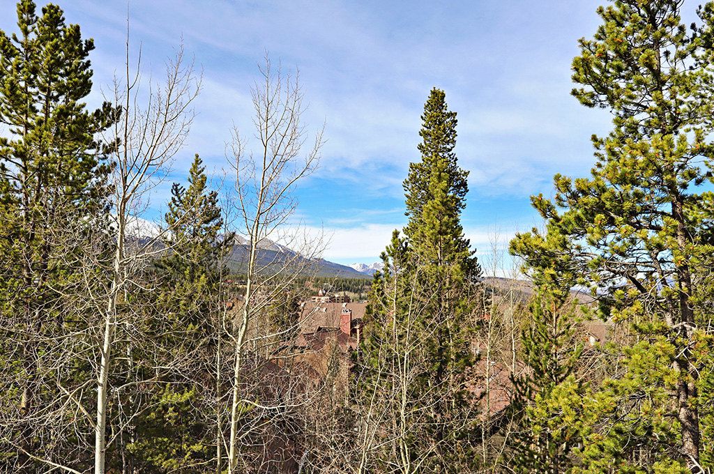 Breckenridge Home 937246