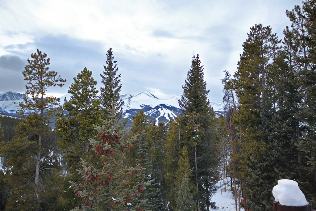 Breckenridge Home 937276