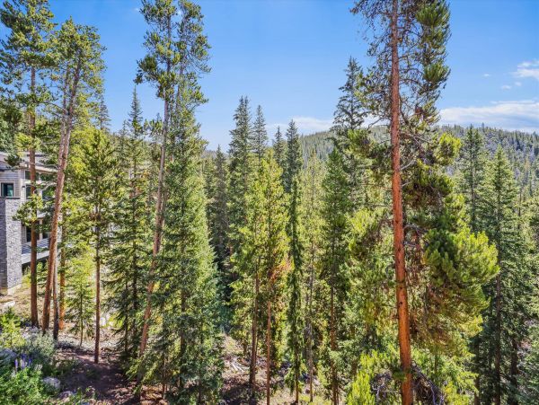 Luxury Breckenridge 6 Bedroom Home Sleeps 12