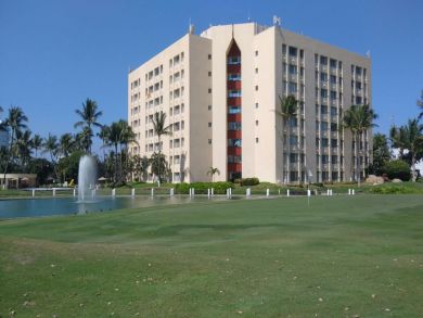 Acapulco Condo 937331