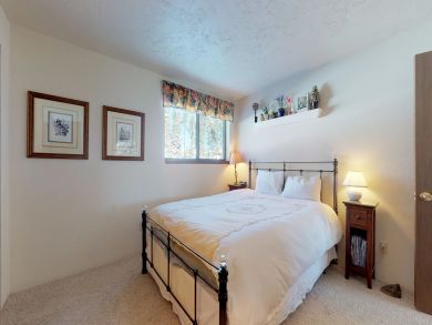 Breckenridge Condo 937355 Breckenridge Condo 937355