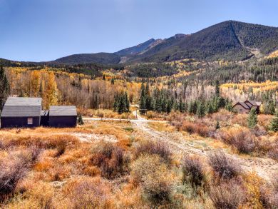 Breckenridge Condo 937357
