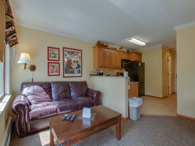 Breckenridge Condo 937361