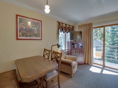 Breckenridge Condo 937361