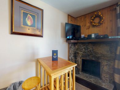 Aspen Condo 937367
