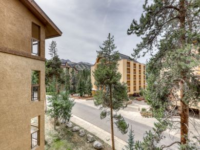 Breckenridge Condo 937372
