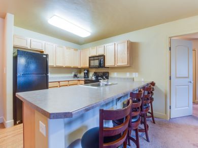 Steamboat Springs Condo 937377