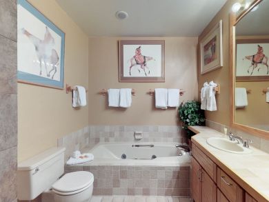 Breckenridge Condo 937384
