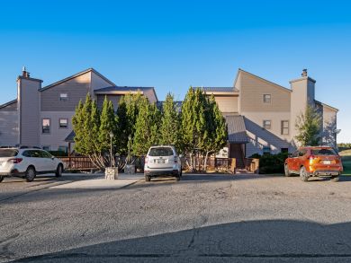 Breckenridge Condo 937386