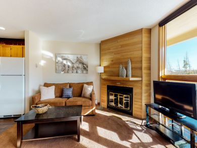 Breckenridge Condo 937387