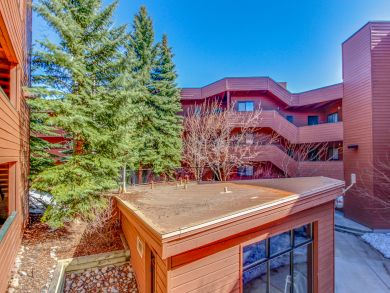 Breckenridge Condo 937388