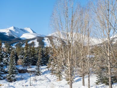 Breckenridge Home 937390 Breckenridge Home 937390