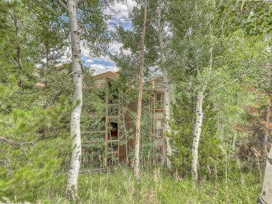 Breckenridge Condo 937392