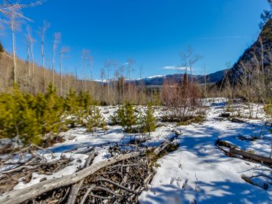 Breckenridge Condo 937392