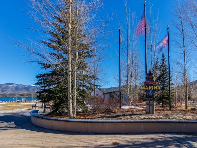 Breckenridge Condo 937392