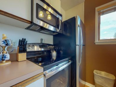 Breckenridge Condo 937394