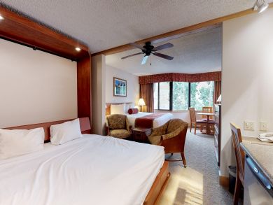 Aspen Condo 937396