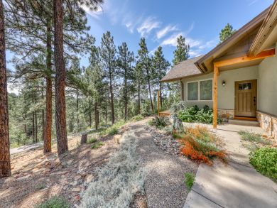 Breckenridge Condo 937414