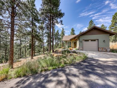 Breckenridge Condo 937414