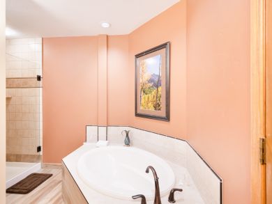 Breckenridge Condo 937420