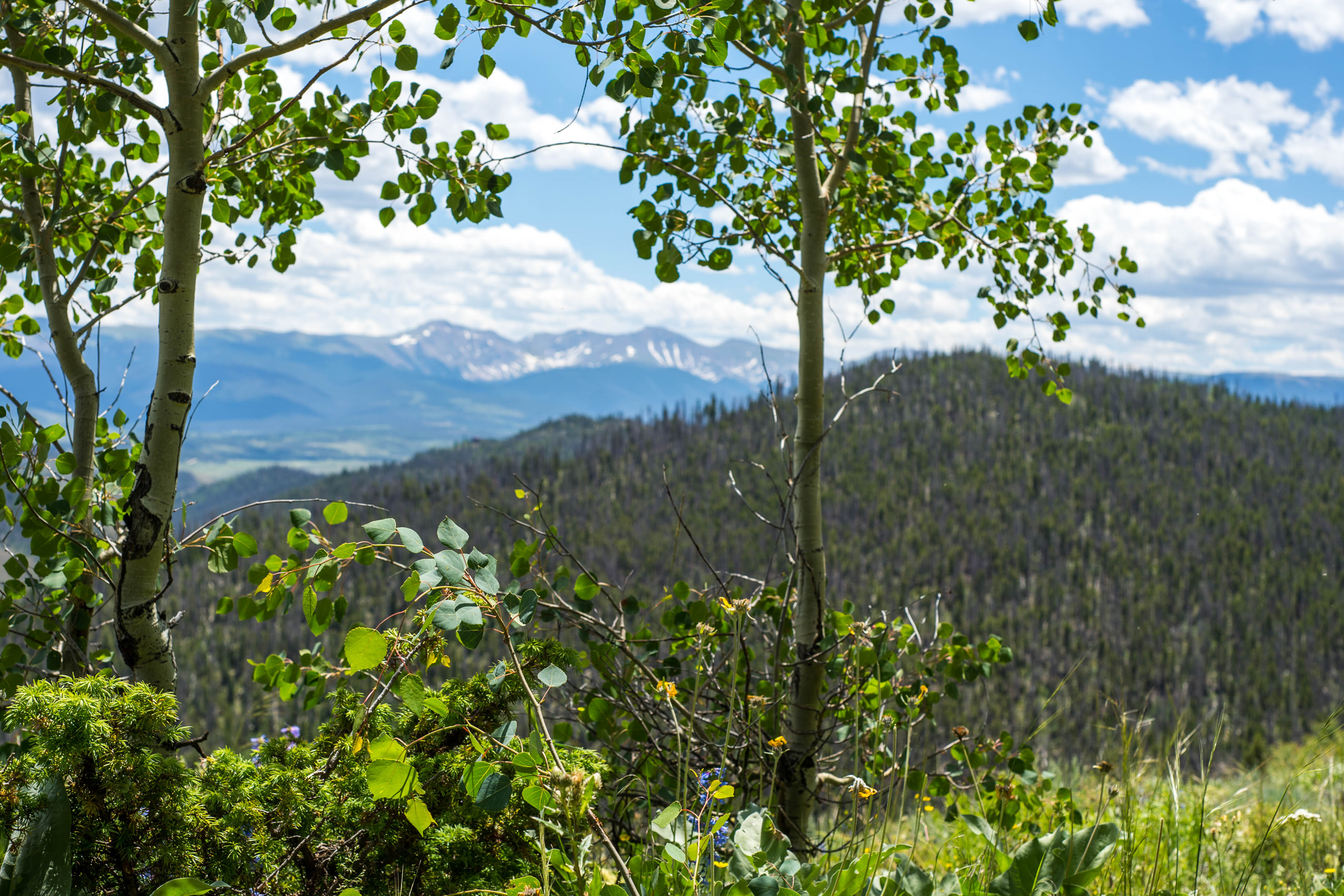 Breckenridge Home 937421