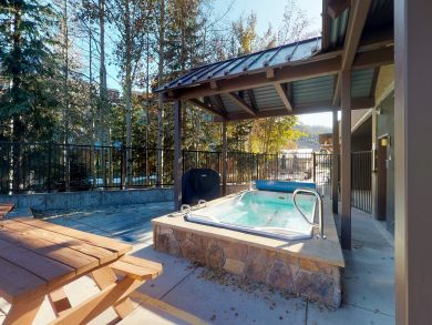 Breckenridge Condo 937422