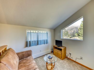 Breckenridge Condo 937427