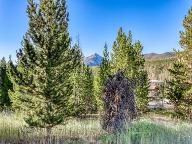 Breckenridge Condo 937427