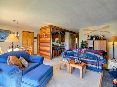 Breckenridge Condo 937433