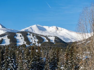Breckenridge Condo 937439