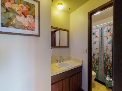 Breckenridge Condo 937441