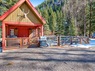 Breckenridge Condo 937443