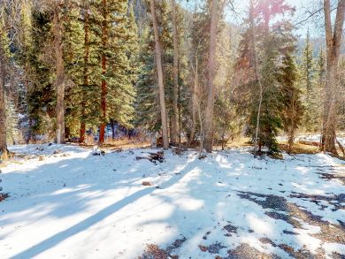 Breckenridge Condo 937443