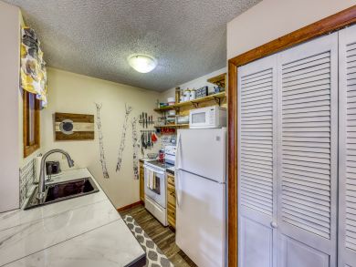 Steamboat Springs Condo 937445