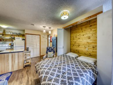 Steamboat Springs Condo 937445