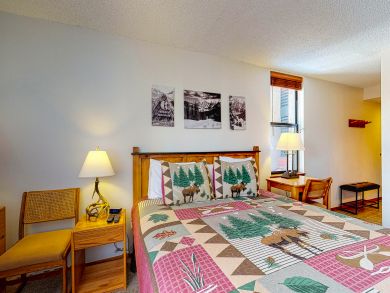 Breckenridge Condo 937448