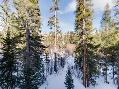 Breckenridge Condo 937450